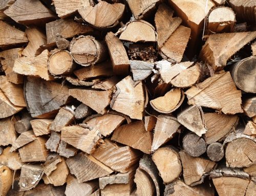 Brennholz – Jetzt vorsorgen für kalte Wintertage